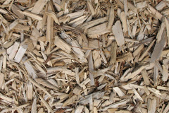 biomass boilers Gore